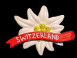 logo swiss-yves-piller